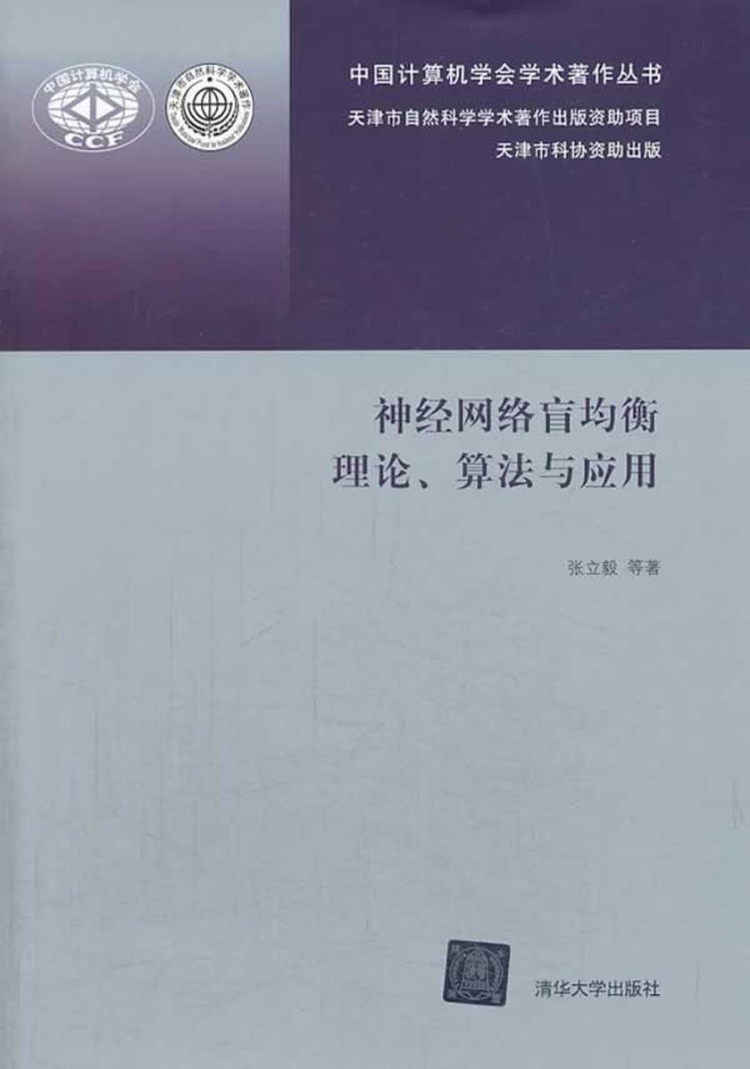 神经网络盲均衡理论、算法与应用