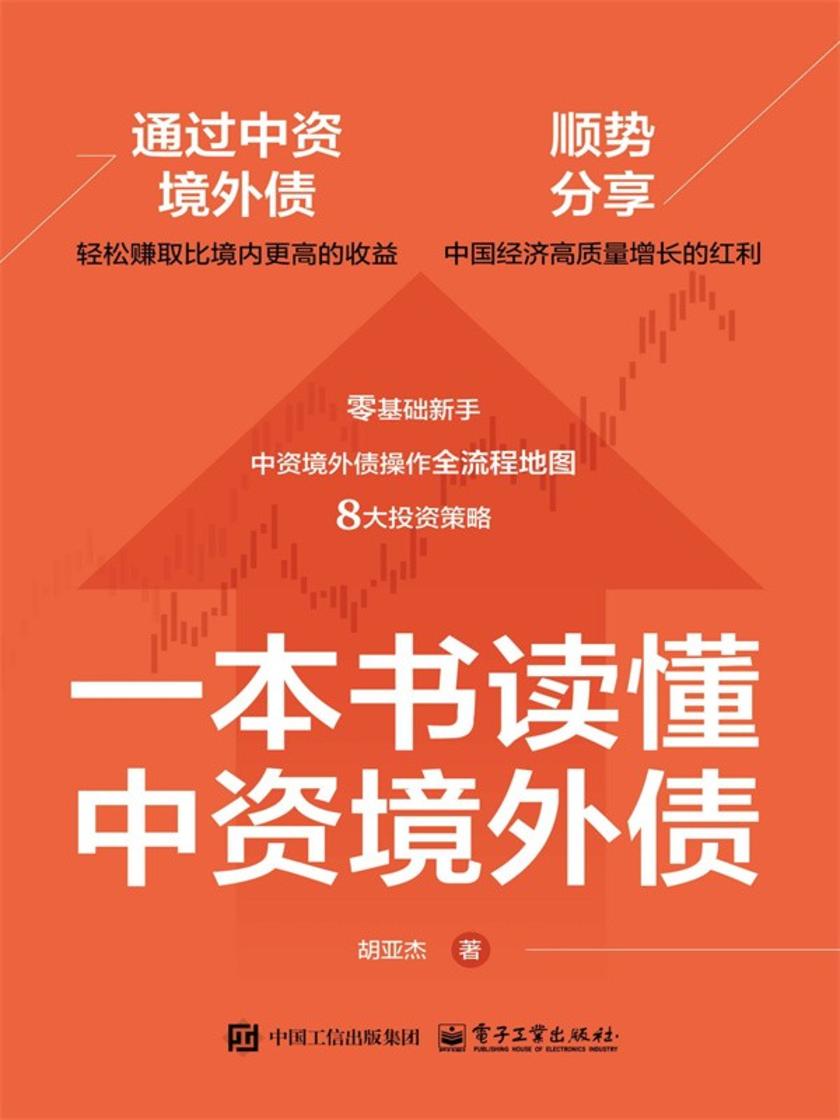 一本书读懂中资境外债