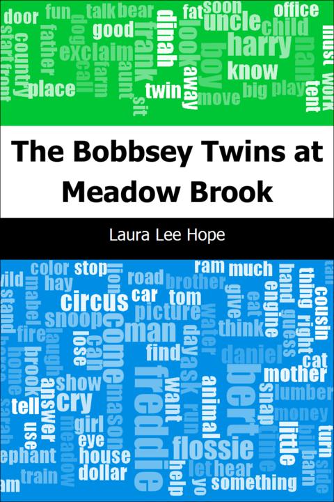 The Bobbsey Twins at Meadow Brook