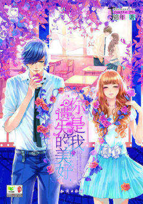 你是我遗失的美好(试读本)