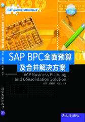 SAP BPC全面预算及合并解决方案