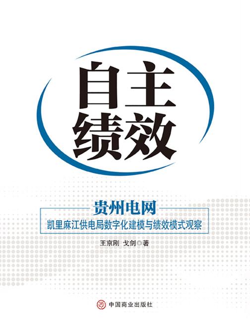 自主绩效：贵州电网：凯里麻江供电局数字化建模与绩效模式观察