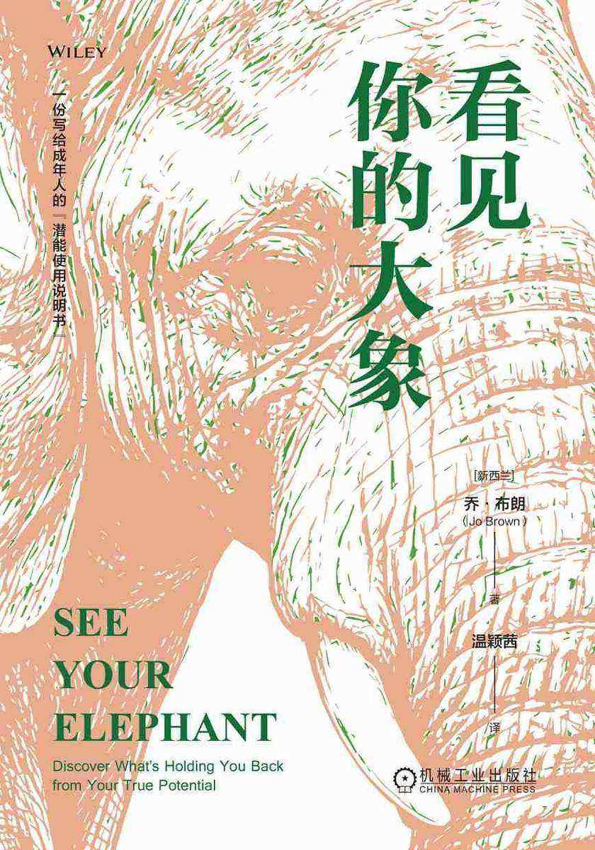 看见你的大象