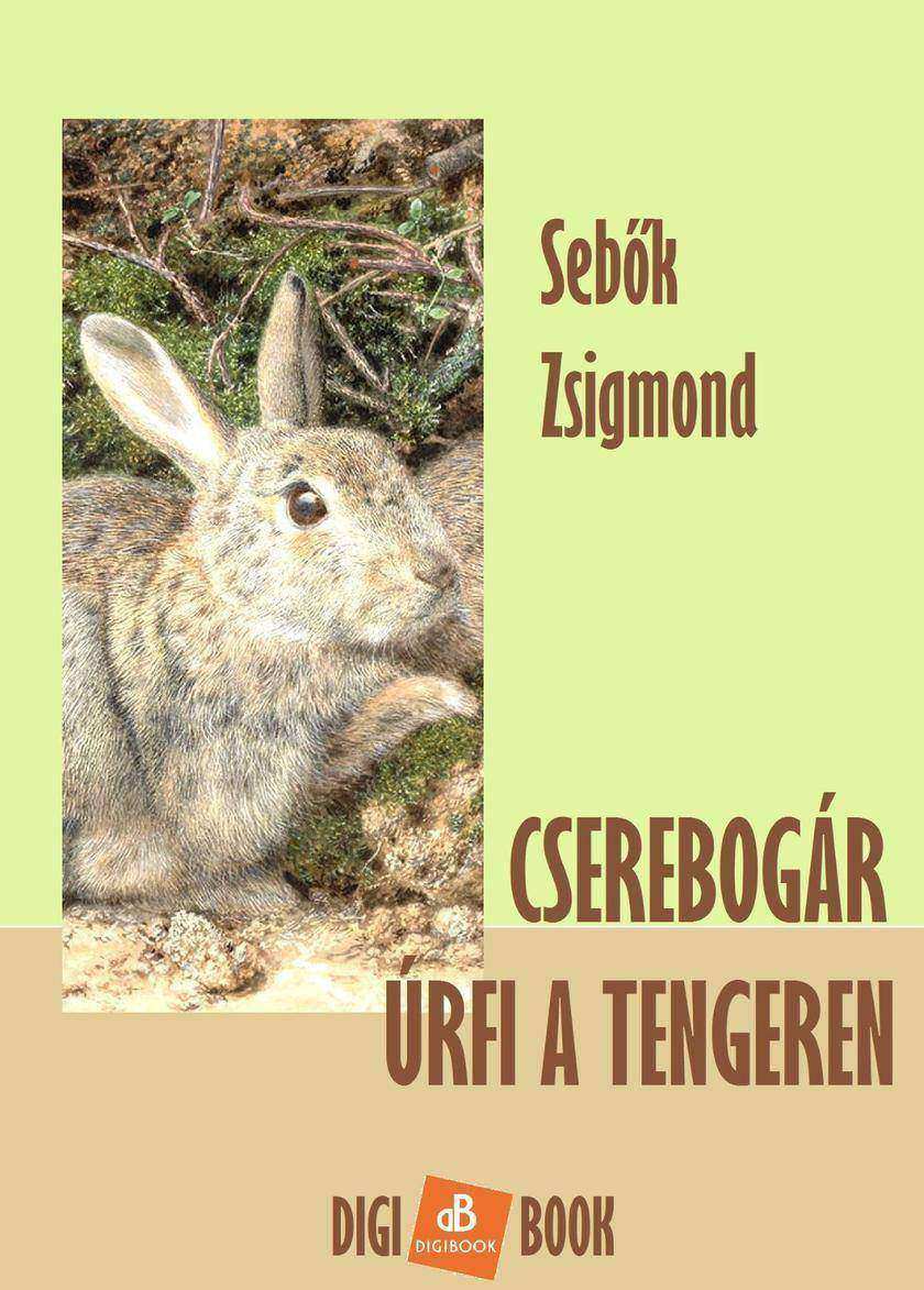 Cserebogár úrfi a tengeren