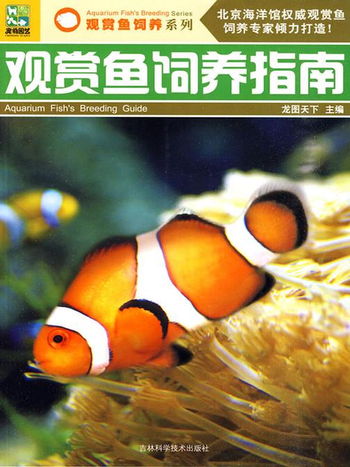 观赏鱼饲养指南