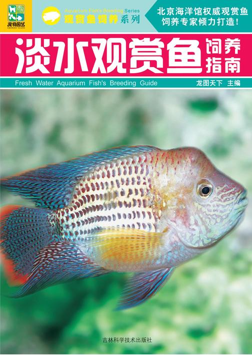 淡水观赏鱼饲养指南