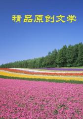 资本运作一本通