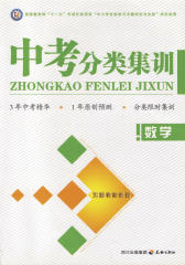 中考分类集训.数学(仅适用PC阅读)