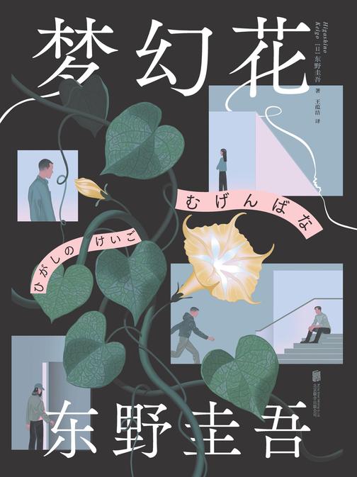 梦幻花(精装版)