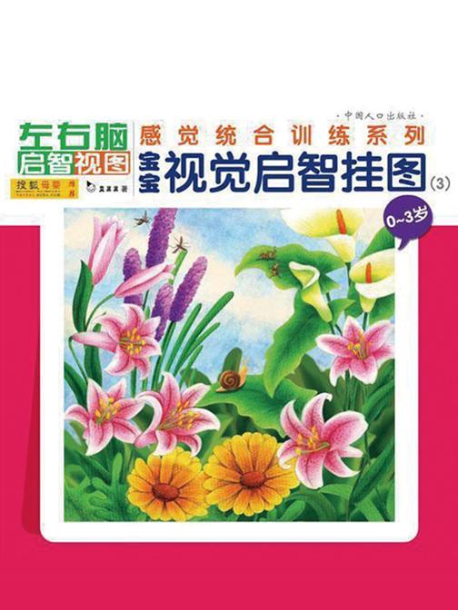 宝宝视觉启智挂图（3）