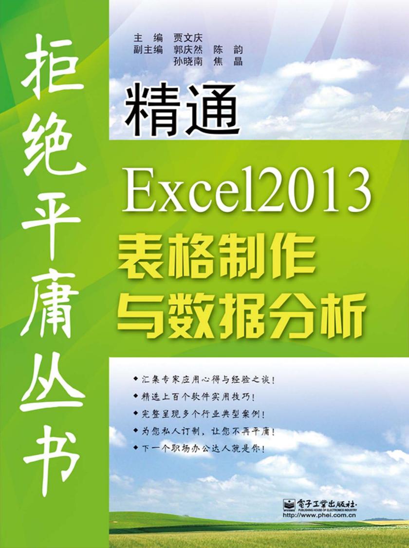 精通Excel 2013表格制作与数据分析