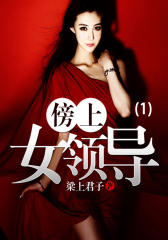 傍上女领导(1)