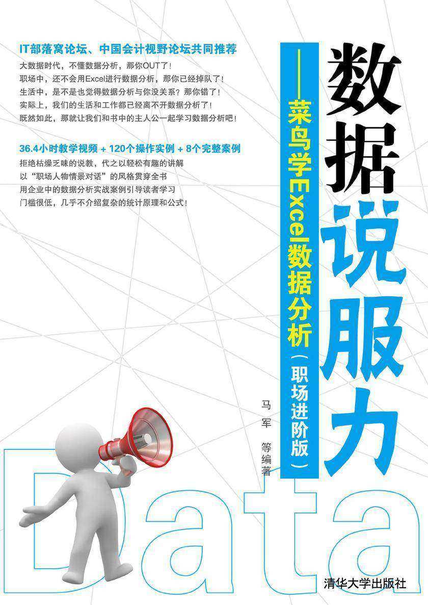 据说服力:菜鸟学Excel数据分析(职场进阶版)(光盘内容另行下载,地址见书封底)
