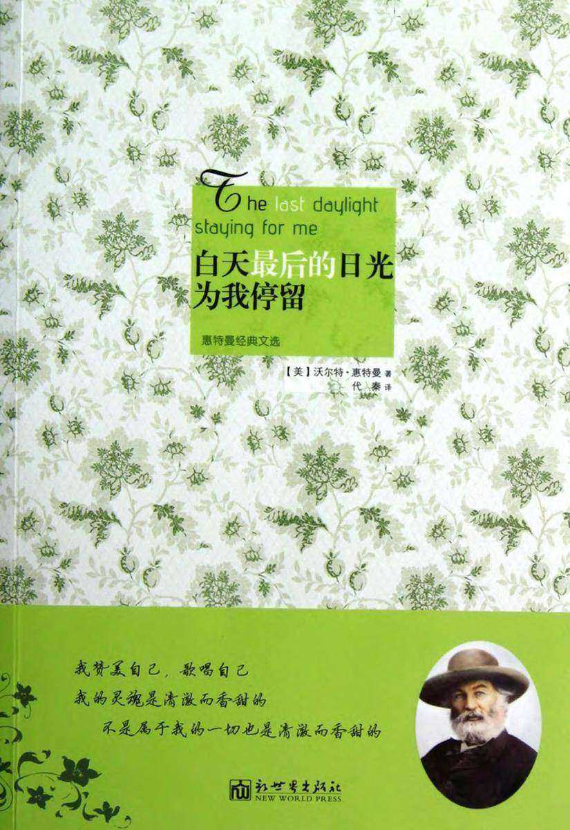 白天 后的日光为我停留