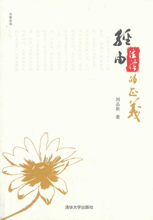 经由法律的正义