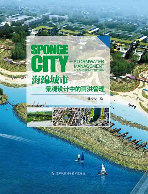 海绵城市——景观设计中的雨洪管理