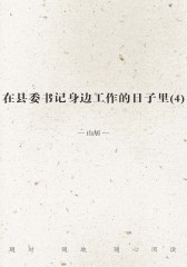 在县委书记身边工作的日子里(4)