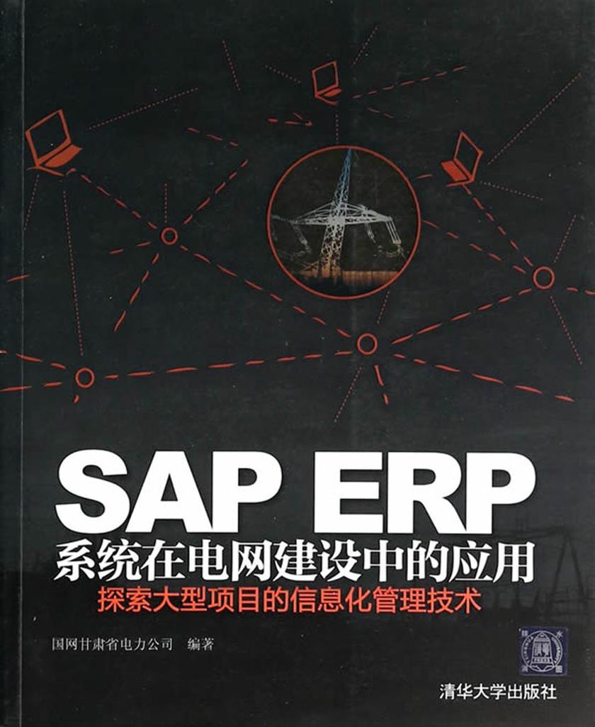 SAP ERP系统在电网建设中的应用:探索大型项目的信息化管理技术