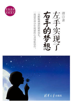 左手实现了右手的梦想