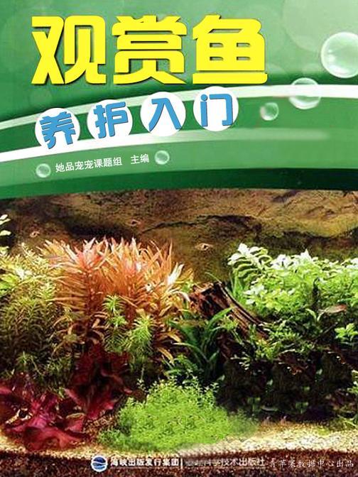 观赏鱼养护入门