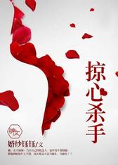 掠心杀手