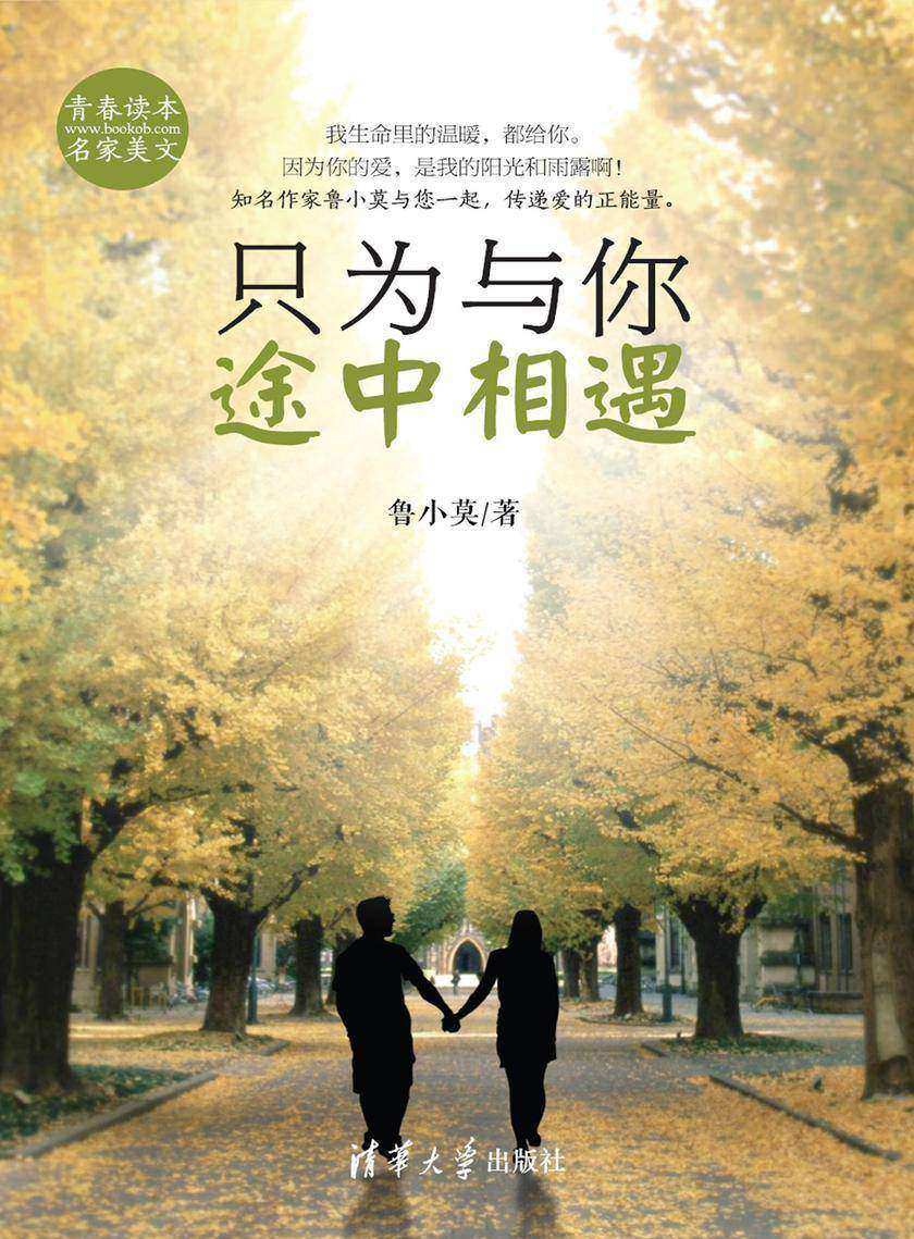 只为与你途中相遇