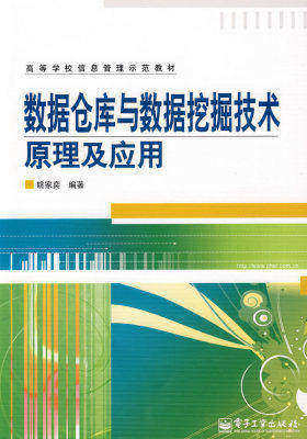 数据仓库与数据挖掘技术原理及应用(试读本)