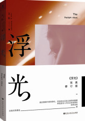 浮光·完美修订版(王臣著）(试读本)