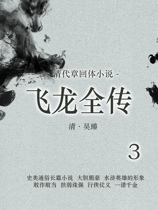 清代章回体小说 ：飞龙全传(3)
