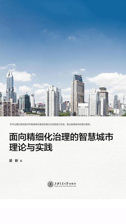 面向精细化治理的智慧城市理论与实践