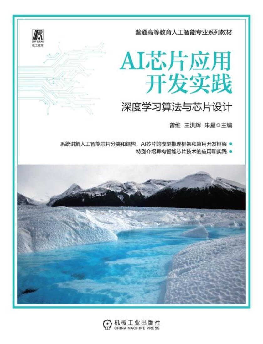 AI芯片应用开发实践:深度学习算法与芯片设计