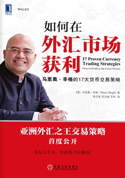 如何在外汇市场获利：马里奥·辛格的17大货币交易策略