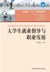 大学生就业指导与职业发展