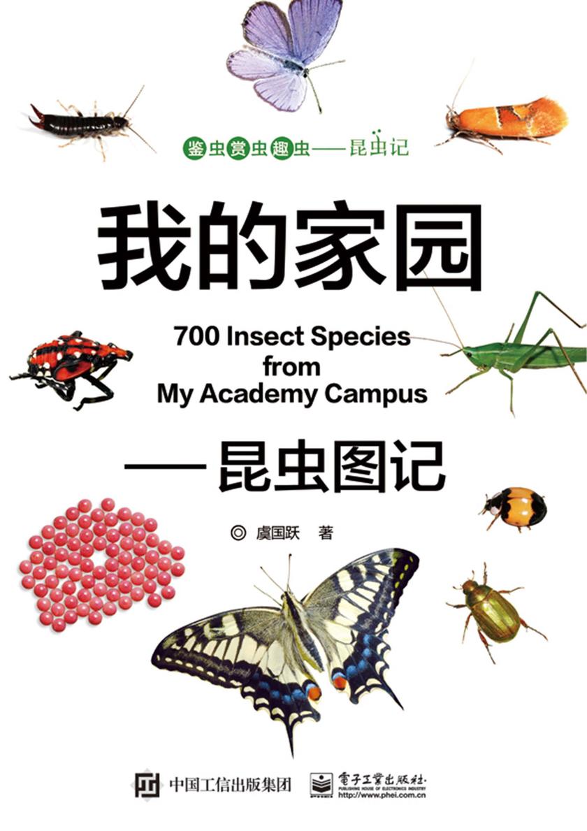 我的家园——昆虫图记