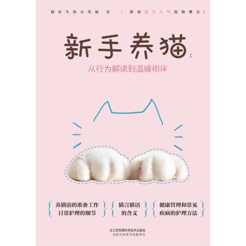 新手养猫:从行为解读到温暖相伴