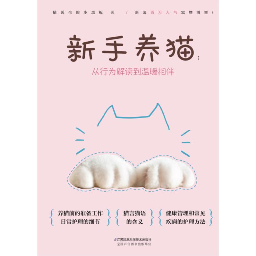 新手养猫:从行为解读到温暖相伴