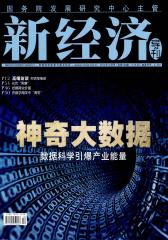 新经济导刊 月刊 2012年12期(电子杂志)(仅适用PC阅读)