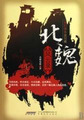 北魏风云录