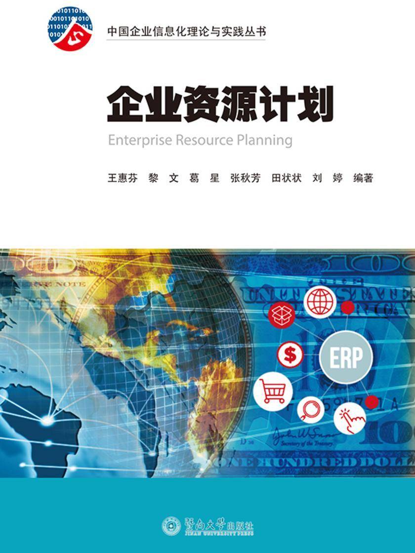 中国企业信息化理论与实践丛书·企业资源计划