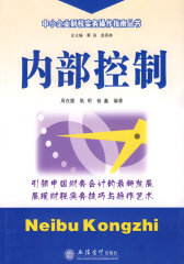 (读)内部控制(周在霞)(试读本)