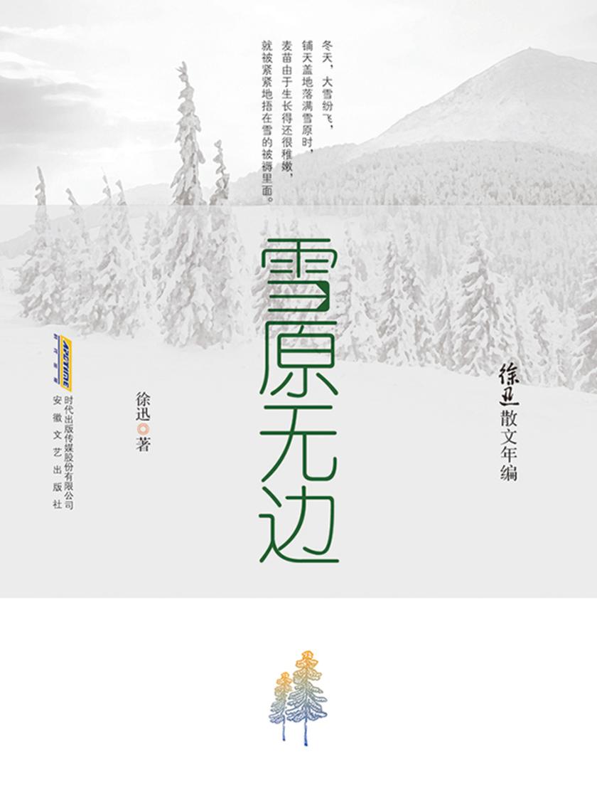 徐迅散文年编:雪原无边
