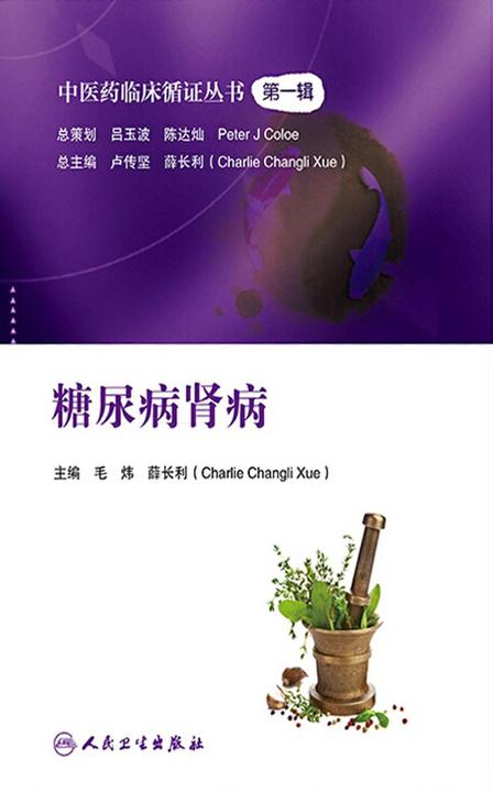 中医药临床循证丛书——糖尿病肾病