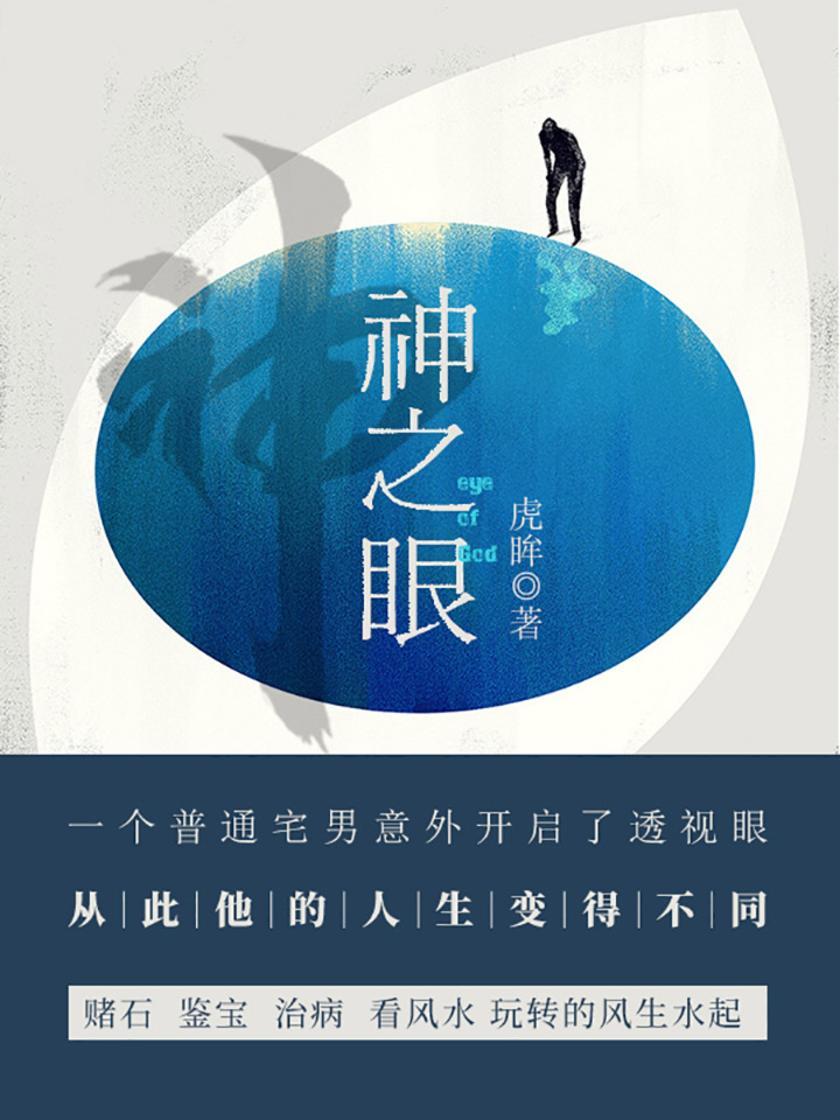 神之眼【一个普通宅男意外开启了透视眼，从此他的人生变得不同】