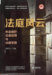 法庭风云：刑事辩护证据运用与法庭策略