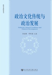 政治文化传统与政治发展
