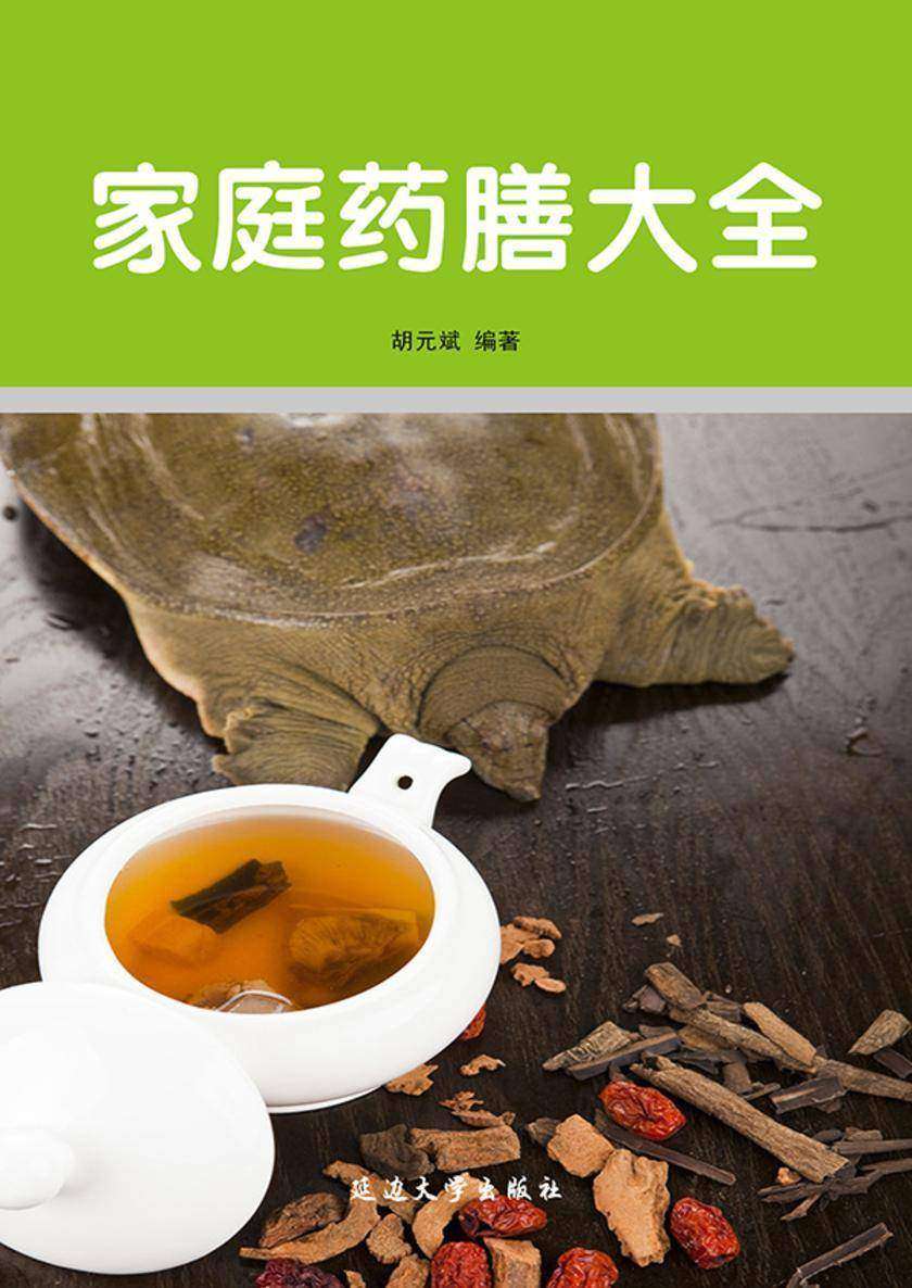 家庭药膳大全