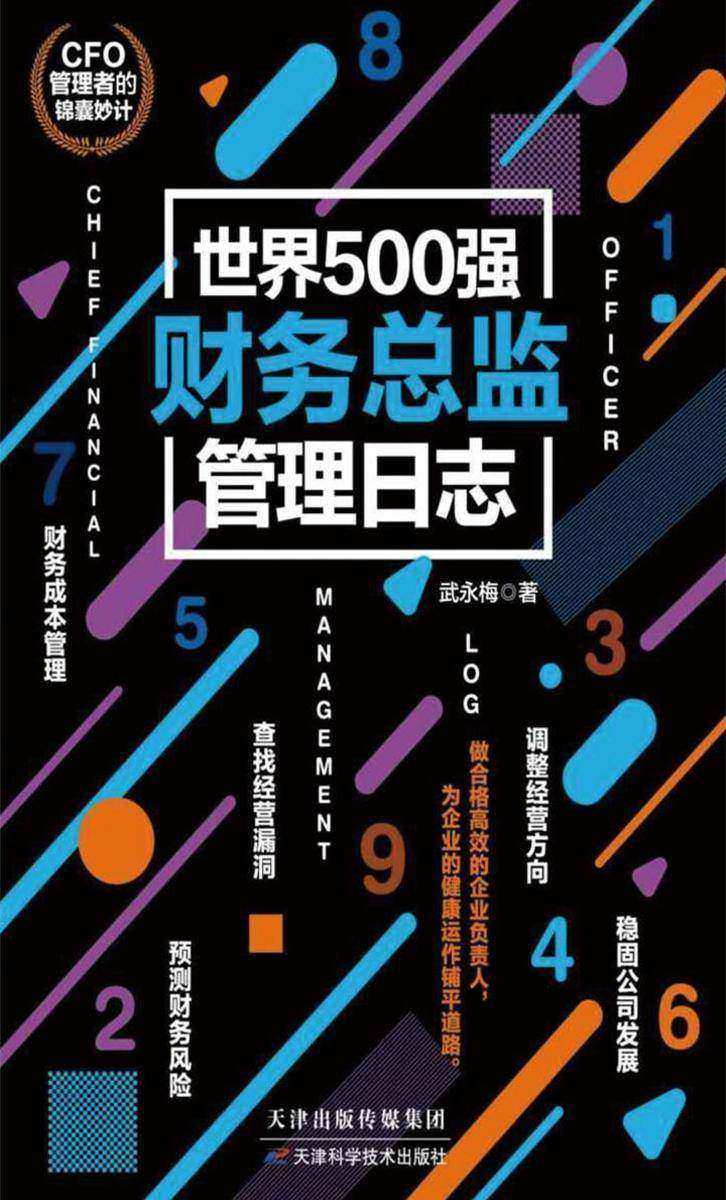 世界500强财务总监管理日志