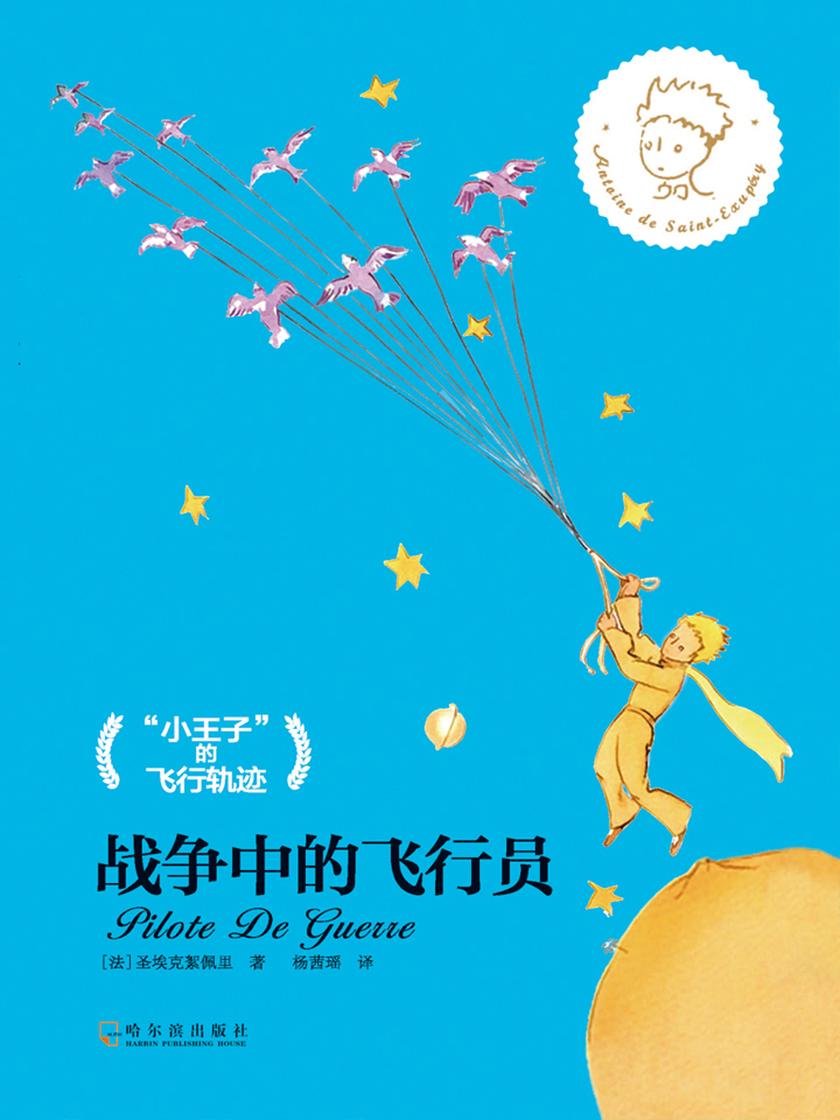 战争中的飞行员