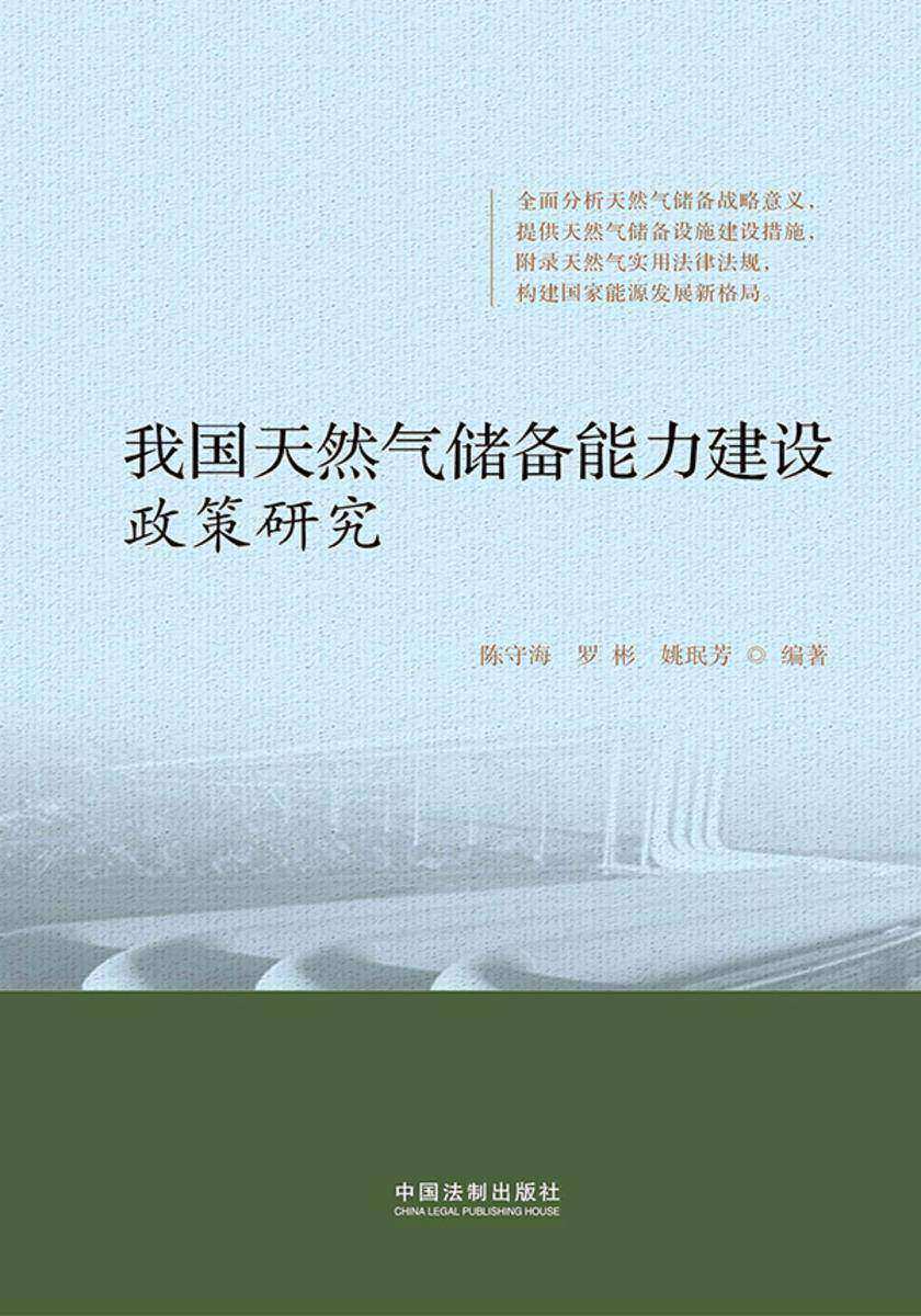 我国天然气储备能力建设政策研究