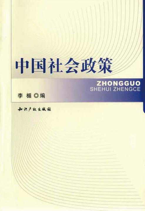 中国社会政策